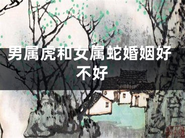 男属虎和女属蛇婚姻好不好