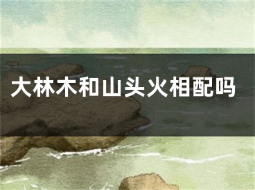 大林木和山头火相配吗