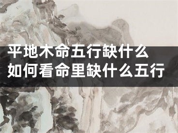 平地木命五行缺什么 如何看命里缺什么五行