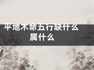 平地木命五行缺什么 属什么 