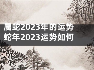 属蛇2023年的运势蛇年2023运势如何