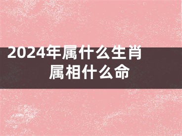 2024年属什么生肖属相什么命
