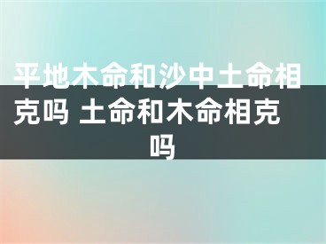 平地木命和沙中土命相克吗 土命和木命相克吗