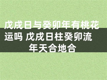 戊戌日与癸卯年有桃花运吗 戊戌日柱癸卯流年天合地合
