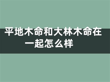 平地木命和大林木命在一起怎么样 
