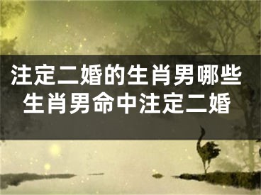 注定二婚的生肖男哪些生肖男命中注定二婚