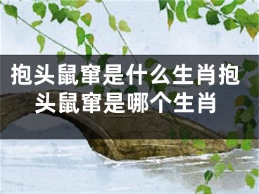 抱头鼠窜是什么生肖抱头鼠窜是哪个生肖