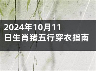 2024年10月11日生肖猪五行穿衣指南