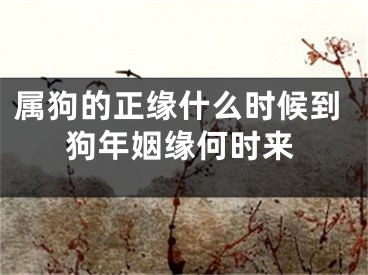 属狗的正缘什么时候到狗年姻缘何时来