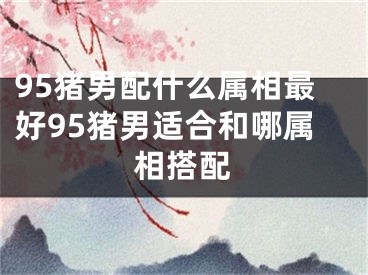 95猪男配什么属相最好95猪男适合和哪属相搭配