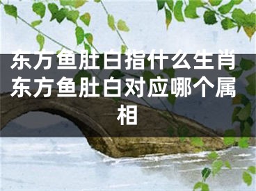 东方鱼肚白指什么生肖东方鱼肚白对应哪个属相