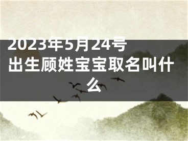 2023年5月24号出生顾姓宝宝取名叫什么