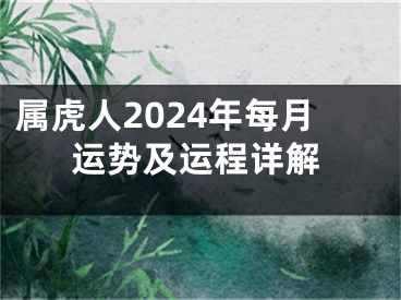 属虎人2024年每月运势及运程详解