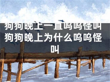 狗狗晚上一直呜呜怪叫狗狗晚上为什么呜呜怪叫