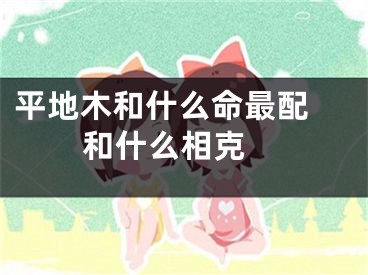 平地木和什么命最配 和什么相克 