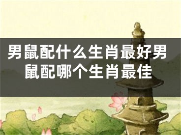 男鼠配什么生肖最好男鼠配哪个生肖最佳