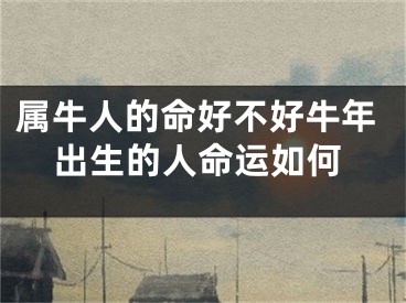 属牛人的命好不好牛年出生的人命运如何