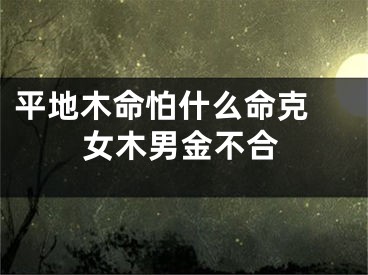 平地木命怕什么命克 女木男金不合