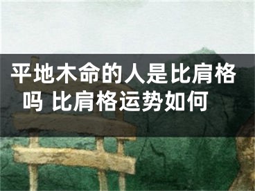 平地木命的人是比肩格吗 比肩格运势如何