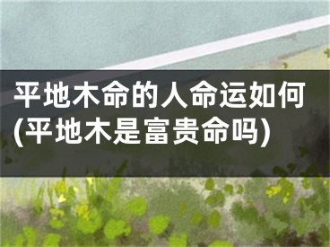 平地木命的人命运如何(平地木是富贵命吗)