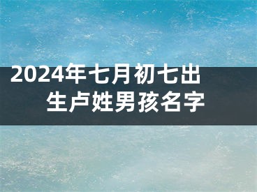 2024年七月初七出生卢姓男孩名字