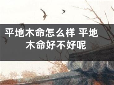 平地木命怎么样 平地木命好不好呢
