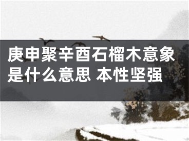 庚申聚辛酉石榴木意象是什么意思 本性坚强