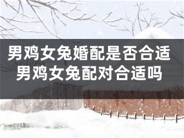 男鸡女兔婚配是否合适男鸡女兔配对合适吗