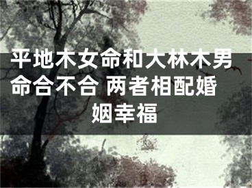 平地木女命和大林木男命合不合 两者相配婚姻幸福