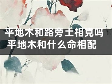 平地木和路旁土相克吗 平地木和什么命相配
