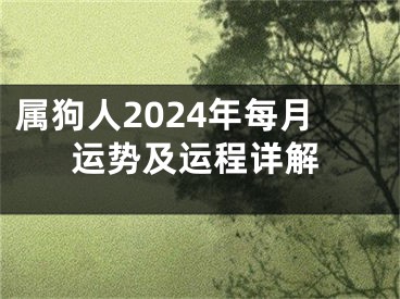 属狗人2024年每月运势及运程详解