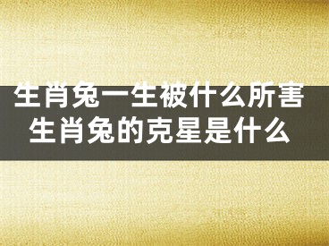 生肖兔一生被什么所害生肖兔的克星是什么