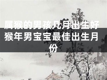 属猴的男孩几月出生好猴年男宝宝最佳出生月份