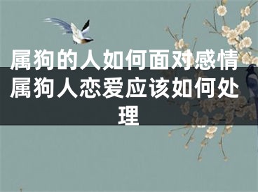 属狗的人如何面对感情属狗人恋爱应该如何处理