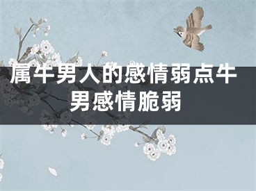属牛男人的感情弱点牛男感情脆弱
