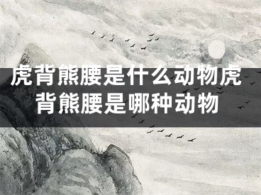 虎背熊腰是什么动物虎背熊腰是哪种动物