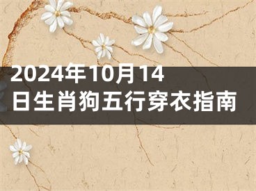 2024年10月14日生肖狗五行穿衣指南
