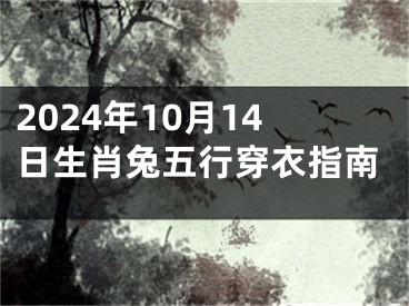 2024年10月14日生肖兔五行穿衣指南