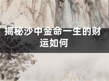 揭秘沙中金命一生的财运如何