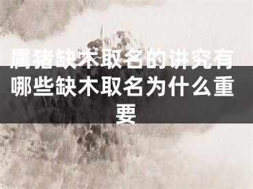 属猪缺木取名的讲究有哪些缺木取名为什么重要