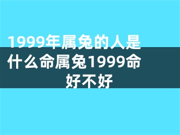 1999年属兔的人是什么命属兔1999命好不好