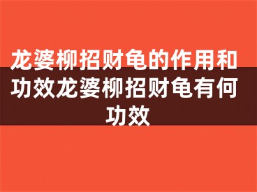 龙婆柳招财龟的作用和功效龙婆柳招财龟有何功效