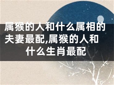 属猴的人和什么属相的夫妻最配,属猴的人和什么生肖最配