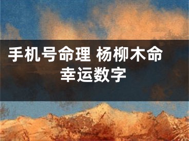手机号命理 杨柳木命幸运数字