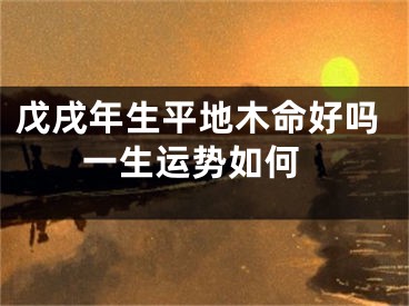 戊戌年生平地木命好吗 一生运势如何