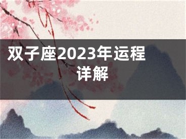 双子座2023年运程详解