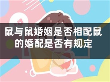 鼠与鼠婚姻是否相配鼠的婚配是否有规定