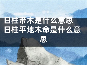 日柱带木是什么意思 日柱平地木命是什么意思