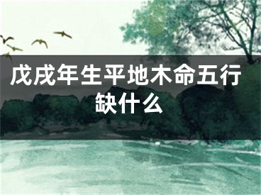戊戌年生平地木命五行缺什么