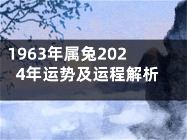 1963年属兔2024年运势及运程解析